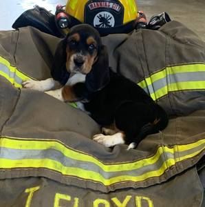 Meet your Posher, Travis